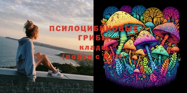 spice Балахна