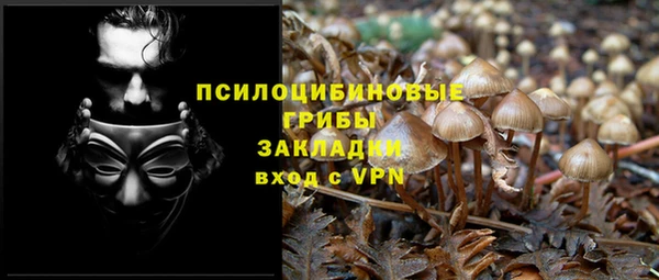 спайс Белокуриха